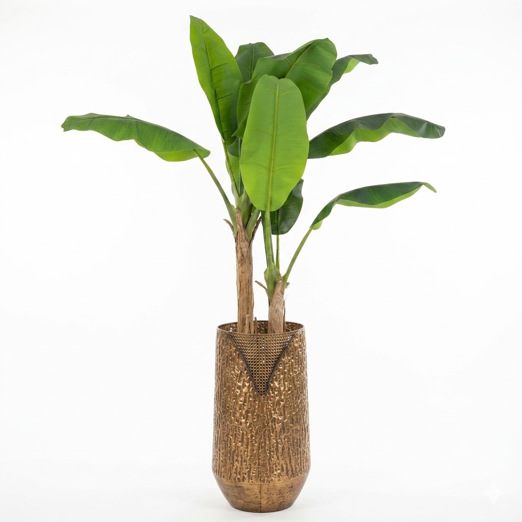 Bananeira Ornamental