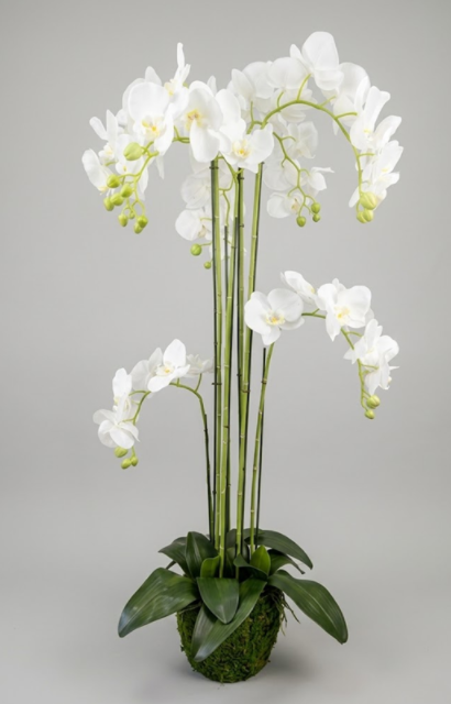 Orquídea Premium 125 cm