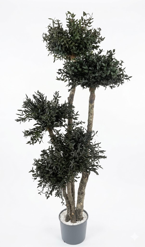 Árvore estilo Bonsai